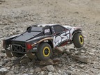 Losi XXX-SCT BL 1:10 2WD AVC RTR